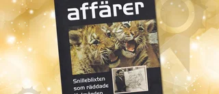 Svenssons svindlande affärer  