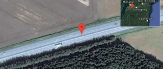 Fallna träd skapar problem i trafiken