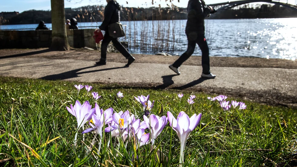 Veckan inleds med ostadigt väder – men från och med onsdag blir det soligare i stora delar av landet. Arkivbild.