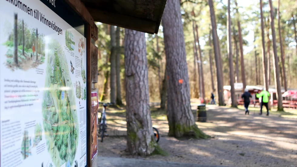 Vrinneviskogen. 