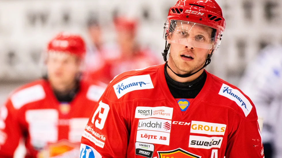 Almtunas Villiam Haag har tittat på det nya upplägget för nästa års hockeyallsvenska.