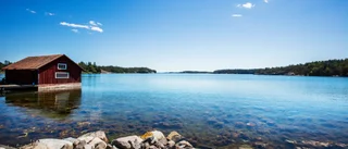 Nu ska Horsviks naturreservat bildas