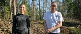 Skog avverkas i Hammaren – barkborre bakom döda granar