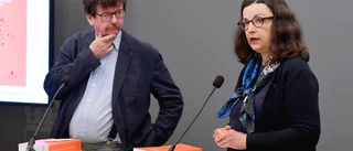 Kommunpolitikerns kritik mot skolutredning: "Luddig"