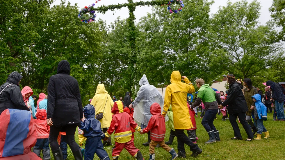 Regn och rusk på midsommar 2015. Arkivbild.
