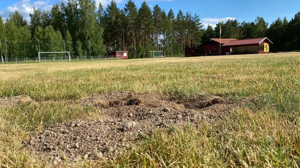 Slätmons BK misstänker att en grävling har besökt Bergavallen den senaste tiden, och lämnat efter sig ett flertal gropar. 