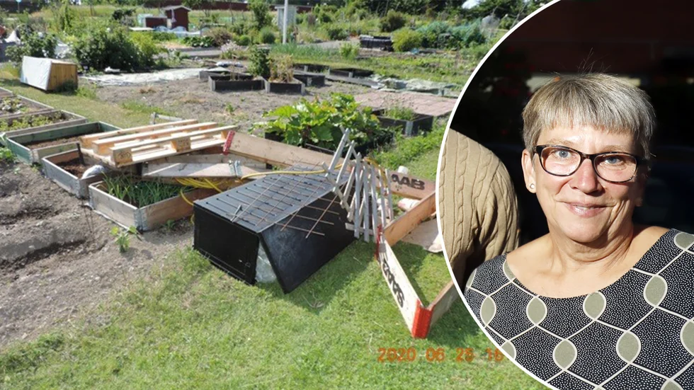 Marianne Andersson blev vittne till hur en virvelvind drog igenom Ulvhälls koloniområde under torsdagen. 