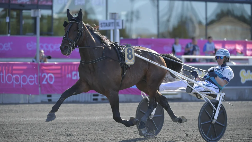 Chefsveterinären Flemming Winberg tror att det kommer bli svårt att hitta fysiska bevis på att Propulsion blivit nervsnittad.