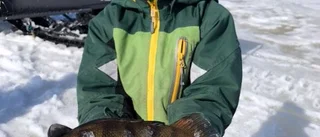 Strålande fiskekille i Kiruna                          