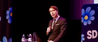 SD-medlem kritiserade partitopp i tv – stängs nu av