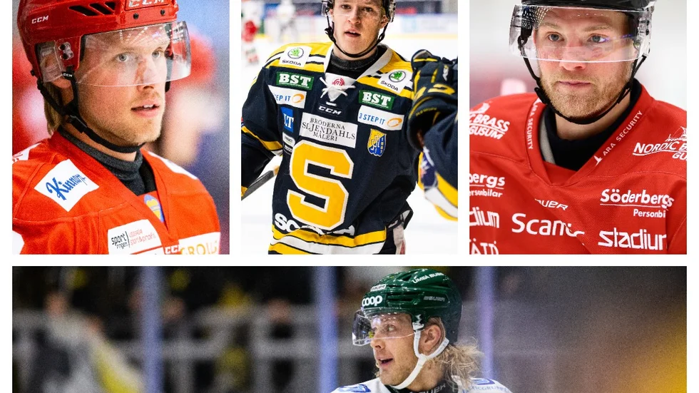 11 september är startdatumet för hockeyallsvenskan. Mycket vatten kommer att rinna under broarna till dess. Men det finns en hel del pusselbitar som redan är på plats i lagen.
