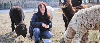 Drömgården som ger nya idéer och framtidsvisioner