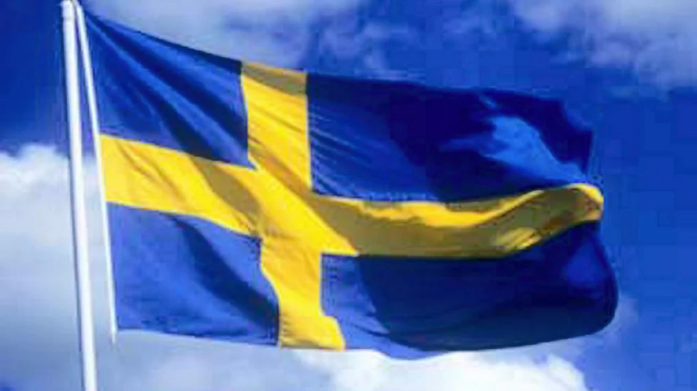 Något publikt nationaldagsfirande blir det inte i år i Linköping - däremot ett digitalt.