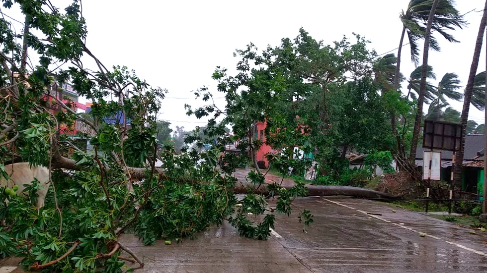 Nedslitna träd över en väg i Odisha i Indien strax efter att cyklonen Amphan dragit in över land på onsdagen.