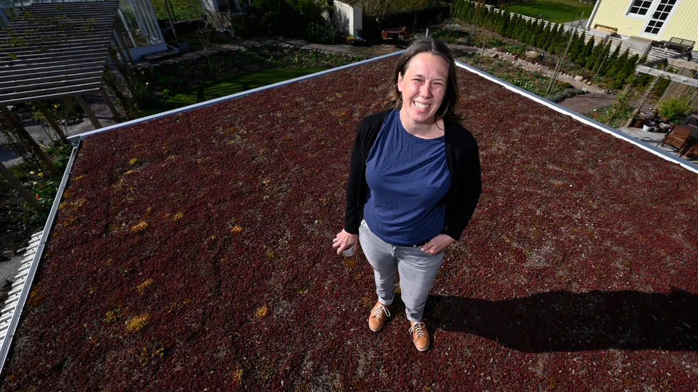 "Vi är inne på det tredje året med taket. Vi brukar gödsla med långsamverkande pellets på våren", säger Anna Laurén.