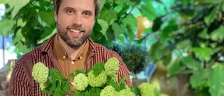 Möt Borensbergsfloristen som smyckat prinsessbröllop
