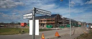 S och MP protesterar – vill kräva billigare bostäder