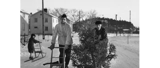 Samlar in Skelleftebornas granar