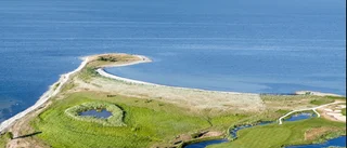 Inga nya golfhål på Svältholmen