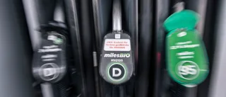 
Mångfald av drivmedel bra för hållbarheten