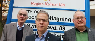 SD vill satsa på hembesök av läkare
