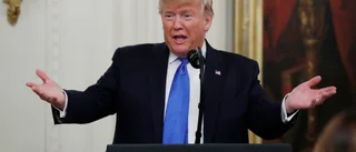 Trump är på väg att vålla "hjärndöd" i Nato