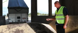 Skörden fortsatt dålig på Gotland