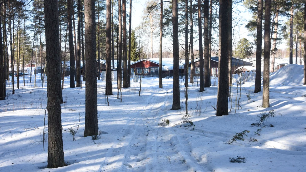 Skogsområdet intill Hyvelgränd och Stickvägen ska bebyggas, planförslaget rymmer två fyravåningshus och fyra tvåvåningshus.