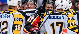 Klart: Förre Luleåforwarden blir tränare i Skellefteå