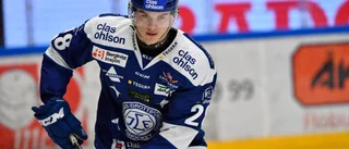 Vita Hästens unga nyförvärv är varandras raka motsatser