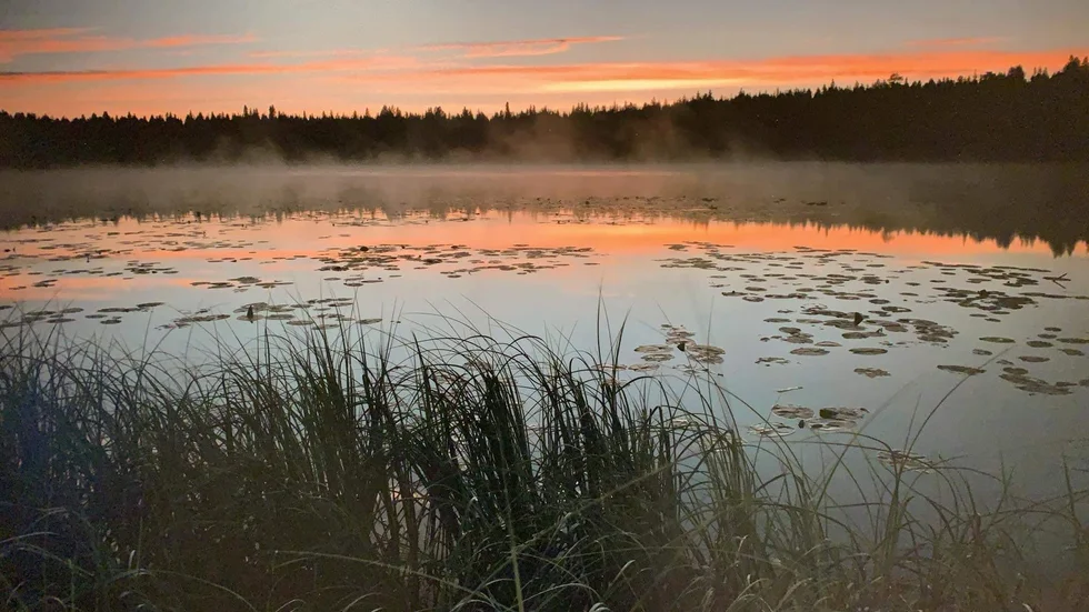 Krönikören skriver om en ensamhet och en sommar vid havet.