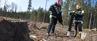 Fruktad fiende ska lockas i fällan