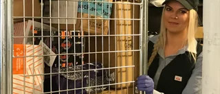 Påskmiddagen inhandlas via nätet