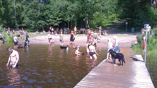 Östhammars kommun skulle behöva ett hundbad, liknande det i Fjällnora, skriver Dick Åhman.