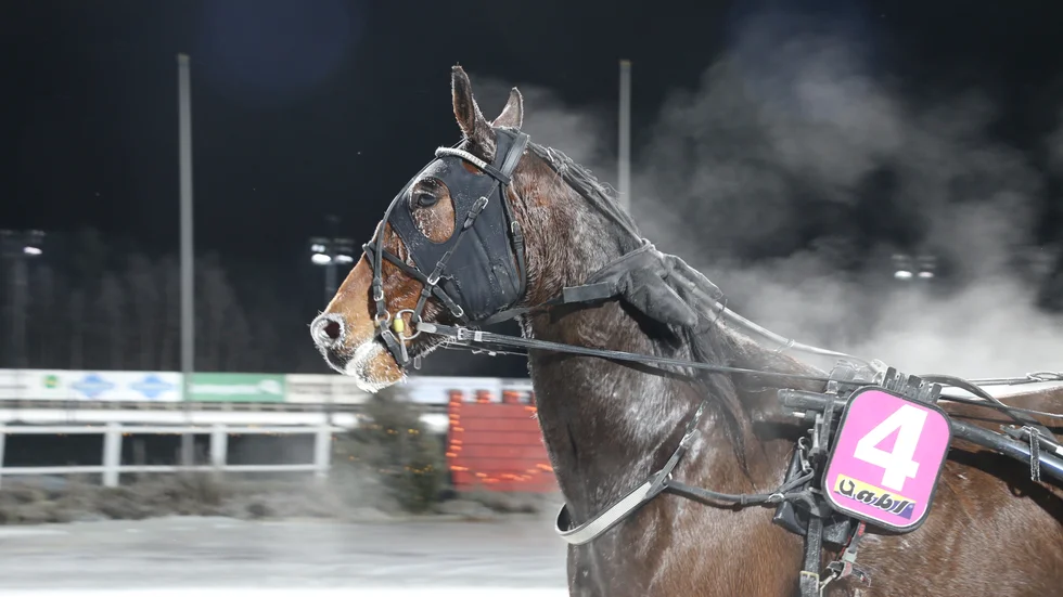 Mellby Fog vann Hästägarkannan 2019. En skräll om han vinner även 2021.