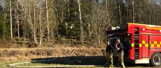 Brann i skogen med öppna lågor