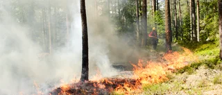 Därför kan det lukta brandrök i slutet av veckan