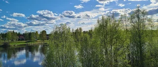 Läsarbild från Tärendö         