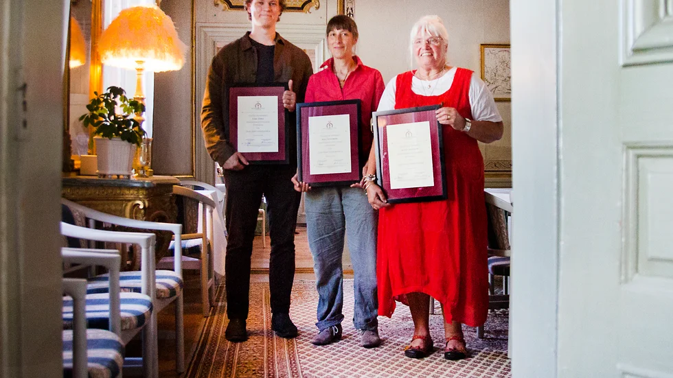 Karl Jürss, Anja Sundberg och Maud Jonsson har fått stipendium av Hantverksstiftelsen i Katrineholm.