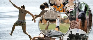 Det här kan du göra på ön i sommar –  trots corona