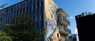 Streetartfestival får grönt ljus