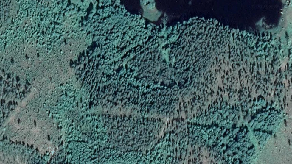 Området kring Räktjärv 307