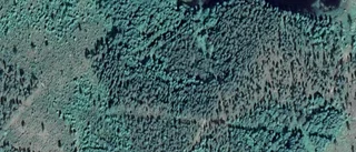 Ny ägare till skogsmark på adressen Räktjärv 307 i Kalix