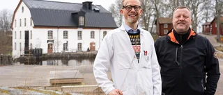 Ulva kvarn utvecklas varsamt  