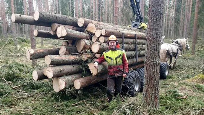 Skogsarbetare Peter Ekholm ber även Norrbottniska skogsägare hålla koll efter granbarkborren. "Det är bara en fråga om tid innan den är här, eller om den redan är här", säger han. 