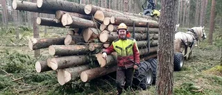 Skogsägaren varnar för skadedjur i skogen