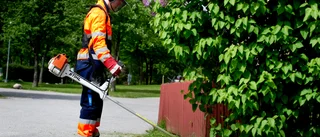 Låt unga få jobba i sommar - de är framtiden