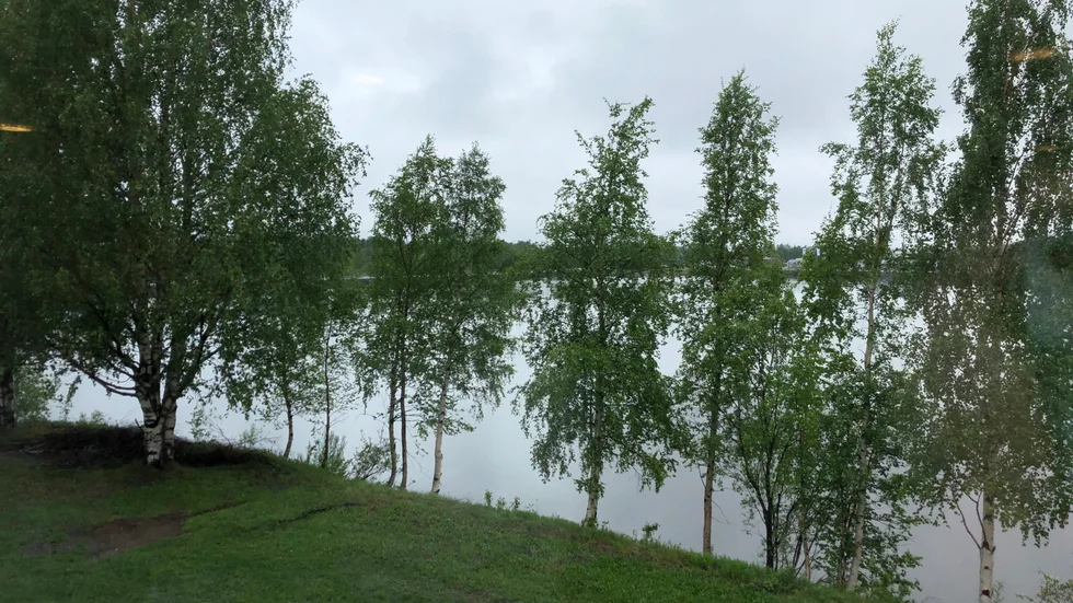 Det blir ostadigt väder på nationaldagen i Norrbotten.