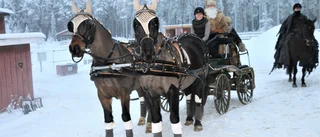 Lyckad hästshow med jultema   