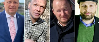 Så vill politikerna stoppa ungdomsbrotten